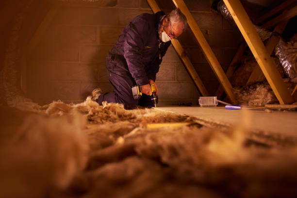 Best Specialized Insulation Services in South Wallins, KY